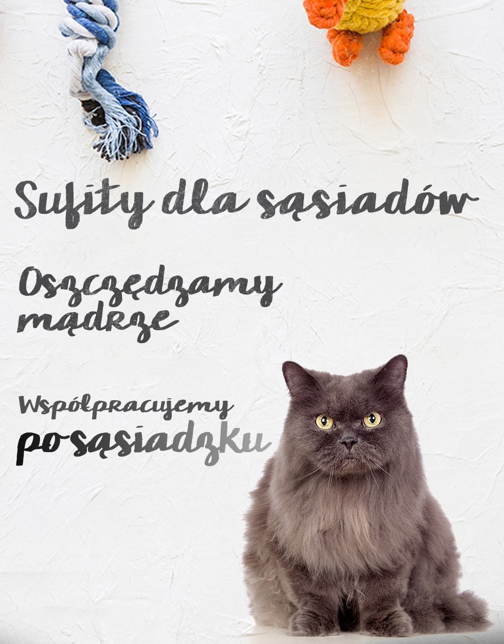 Dowiedz się więcej Dowiedz się więcej